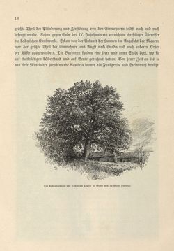 Image of the Page - 18 - in Die österreichisch-ungarische Monarchie in Wort und Bild - Das Küstenland, Volume 10