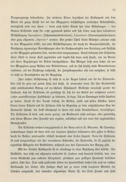 Image of the Page - 71 - in Die österreichisch-ungarische Monarchie in Wort und Bild - Das Küstenland, Volume 10