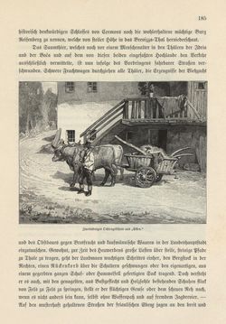 Image of the Page - 185 - in Die österreichisch-ungarische Monarchie in Wort und Bild - Das Küstenland, Volume 10