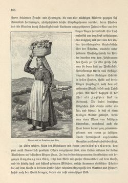 Image of the Page - 186 - in Die österreichisch-ungarische Monarchie in Wort und Bild - Das Küstenland, Volume 10