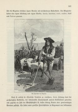 Image of the Page - 207 - in Die österreichisch-ungarische Monarchie in Wort und Bild - Das Küstenland, Volume 10