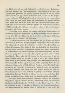 Image of the Page - 229 - in Die österreichisch-ungarische Monarchie in Wort und Bild - Das Küstenland, Volume 10