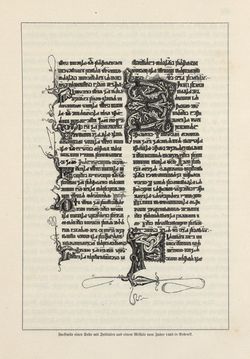 Image of the Page - 235 - in Die österreichisch-ungarische Monarchie in Wort und Bild - Das Küstenland, Volume 10