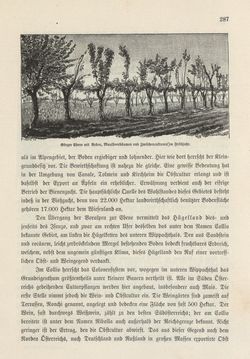 Bild der Seite - 287 - in Die österreichisch-ungarische Monarchie in Wort und Bild - Das Küstenland, Band 10
