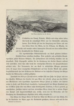 Bild der Seite - 289 - in Die österreichisch-ungarische Monarchie in Wort und Bild - Das Küstenland, Band 10
