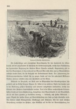 Image of the Page - 292 - in Die österreichisch-ungarische Monarchie in Wort und Bild - Das Küstenland, Volume 10
