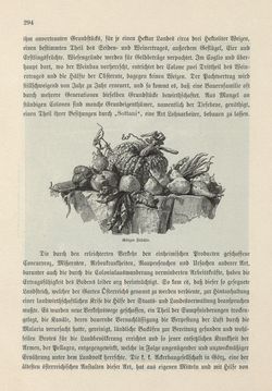 Bild der Seite - 294 - in Die österreichisch-ungarische Monarchie in Wort und Bild - Das Küstenland, Band 10