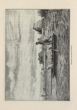 Image of the Page - 297 - in Die österreichisch-ungarische Monarchie in Wort und Bild - Das Küstenland, Volume 10