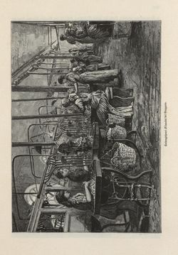 Image of the Page - 299 - in Die österreichisch-ungarische Monarchie in Wort und Bild - Das Küstenland, Volume 10