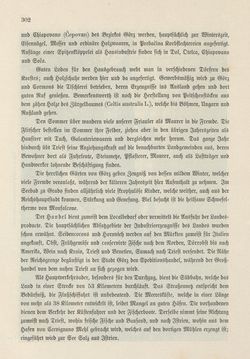 Image of the Page - 302 - in Die österreichisch-ungarische Monarchie in Wort und Bild - Das Küstenland, Volume 10