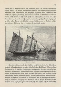 Image of the Page - 313 - in Die österreichisch-ungarische Monarchie in Wort und Bild - Das Küstenland, Volume 10
