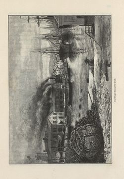 Bild der Seite - 333 - in Die österreichisch-ungarische Monarchie in Wort und Bild - Das Küstenland, Band 10