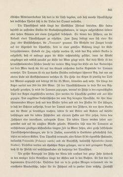 Bild der Seite - 341 - in Die österreichisch-ungarische Monarchie in Wort und Bild - Das Küstenland, Band 10