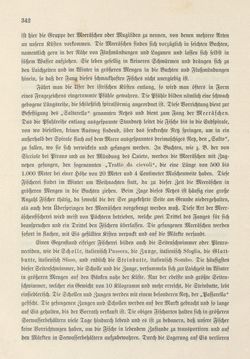 Image of the Page - 342 - in Die österreichisch-ungarische Monarchie in Wort und Bild - Das Küstenland, Volume 10