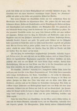 Bild der Seite - 343 - in Die österreichisch-ungarische Monarchie in Wort und Bild - Das Küstenland, Band 10