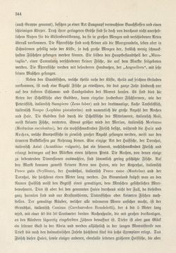 Bild der Seite - 344 - in Die österreichisch-ungarische Monarchie in Wort und Bild - Das Küstenland, Band 10