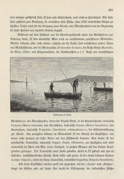 Image of the Page - 345 - in Die österreichisch-ungarische Monarchie in Wort und Bild - Das Küstenland, Volume 10