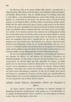 Image of the Page - 348 - in Die österreichisch-ungarische Monarchie in Wort und Bild - Das Küstenland, Volume 10
