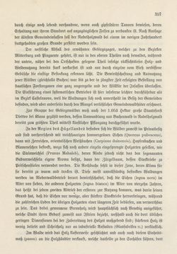 Bild der Seite - 357 - in Die österreichisch-ungarische Monarchie in Wort und Bild - Das Küstenland, Band 10