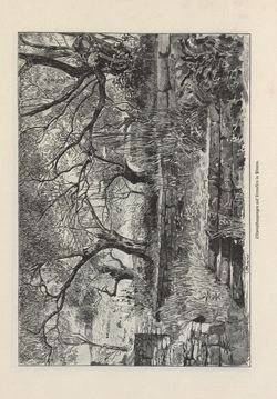 Image of the Page - 365 - in Die österreichisch-ungarische Monarchie in Wort und Bild - Das Küstenland, Volume 10