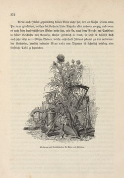 Bild der Seite - 372 - in Die österreichisch-ungarische Monarchie in Wort und Bild - Das Küstenland, Band 10