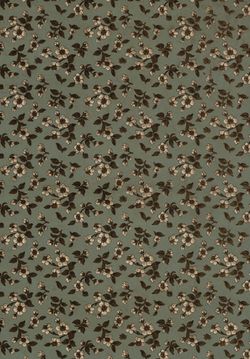 Bild der Seite - Vorsatzblatt vorne - in Die österreichisch-ungarische Monarchie in Wort und Bild - Das Küstenland, Band 10