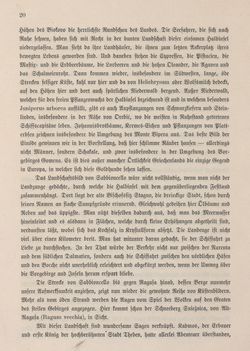 Image of the Page - 20 - in Die österreichisch-ungarische Monarchie in Wort und Bild - Dalmatien, Volume 11