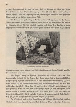Bild der Seite - 46 - in Die österreichisch-ungarische Monarchie in Wort und Bild - Dalmatien, Band 11