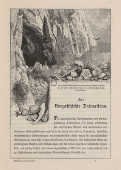 Bild der Seite - 49 - in Die österreichisch-ungarische Monarchie in Wort und Bild - Dalmatien, Band 11