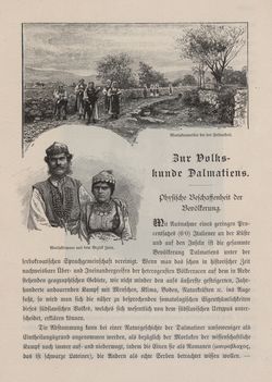 Image of the Page - 119 - in Die österreichisch-ungarische Monarchie in Wort und Bild - Dalmatien, Volume 11