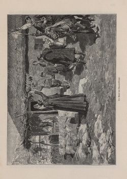 Image of the Page - 163 - in Die österreichisch-ungarische Monarchie in Wort und Bild - Dalmatien, Volume 11