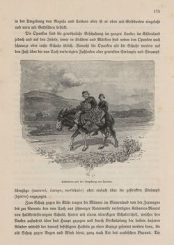 Image of the Page - 175 - in Die österreichisch-ungarische Monarchie in Wort und Bild - Dalmatien, Volume 11