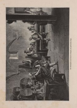 Image of the Page - 205 - in Die österreichisch-ungarische Monarchie in Wort und Bild - Dalmatien, Volume 11