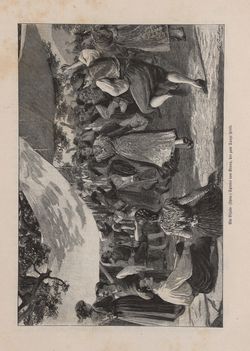 Image of the Page - 209 - in Die österreichisch-ungarische Monarchie in Wort und Bild - Dalmatien, Volume 11