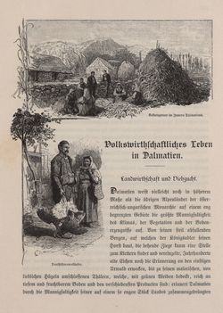 Image of the Page - 295 - in Die österreichisch-ungarische Monarchie in Wort und Bild - Dalmatien, Volume 11