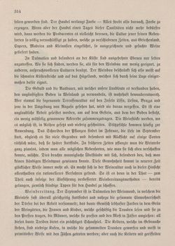 Image of the Page - 314 - in Die österreichisch-ungarische Monarchie in Wort und Bild - Dalmatien, Volume 11