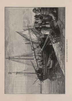 Image of the Page - 315 - in Die österreichisch-ungarische Monarchie in Wort und Bild - Dalmatien, Volume 11