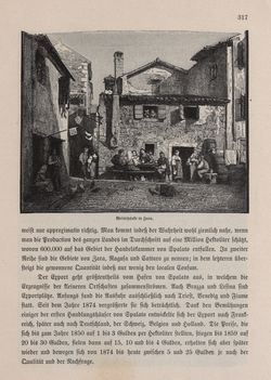 Image of the Page - 317 - in Die österreichisch-ungarische Monarchie in Wort und Bild - Dalmatien, Volume 11