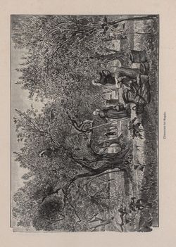 Bild der Seite - 319 - in Die österreichisch-ungarische Monarchie in Wort und Bild - Dalmatien, Band 11