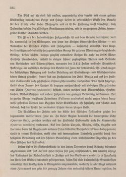 Bild der Seite - 324 - in Die österreichisch-ungarische Monarchie in Wort und Bild - Dalmatien, Band 11