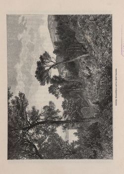 Image of the Page - 325 - in Die österreichisch-ungarische Monarchie in Wort und Bild - Dalmatien, Volume 11