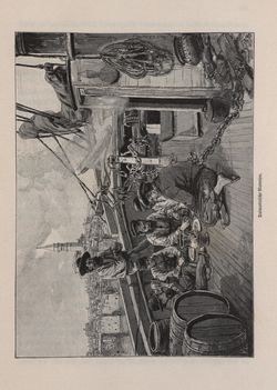 Image of the Page - 331 - in Die österreichisch-ungarische Monarchie in Wort und Bild - Dalmatien, Volume 11