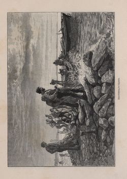 Image of the Page - 339 - in Die österreichisch-ungarische Monarchie in Wort und Bild - Dalmatien, Volume 11