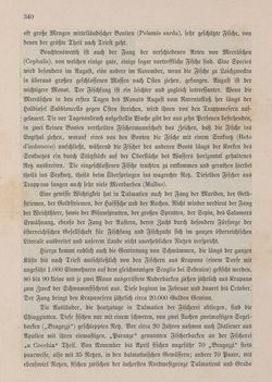 Image of the Page - 340 - in Die österreichisch-ungarische Monarchie in Wort und Bild - Dalmatien, Volume 11