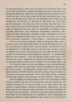 Image of the Page - 341 - in Die österreichisch-ungarische Monarchie in Wort und Bild - Dalmatien, Volume 11