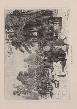 Image of the Page - 131 - in Die österreichisch-ungarische Monarchie in Wort und Bild - Ungarn (3), Volume 12