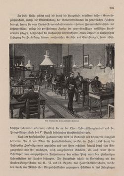 Image of the Page - 207 - in Die österreichisch-ungarische Monarchie in Wort und Bild - Ungarn (3), Volume 12