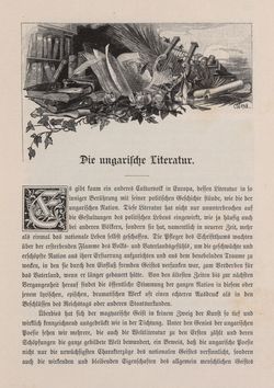 Image of the Page - 245 - in Die österreichisch-ungarische Monarchie in Wort und Bild - Ungarn (3), Volume 12