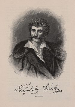 Image of the Page - 299 - in Die österreichisch-ungarische Monarchie in Wort und Bild - Ungarn (3), Volume 12