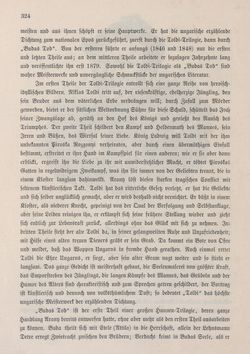 Bild der Seite - 324 - in Die österreichisch-ungarische Monarchie in Wort und Bild - Ungarn (3), Band 12
